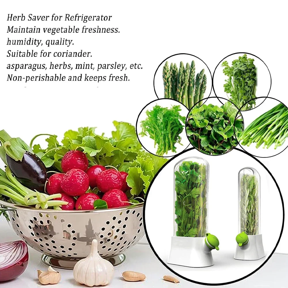 Bitki Tasarrufu Saklama Kabı S - Herb Keeper Bottle incelemesi ve fiyatı