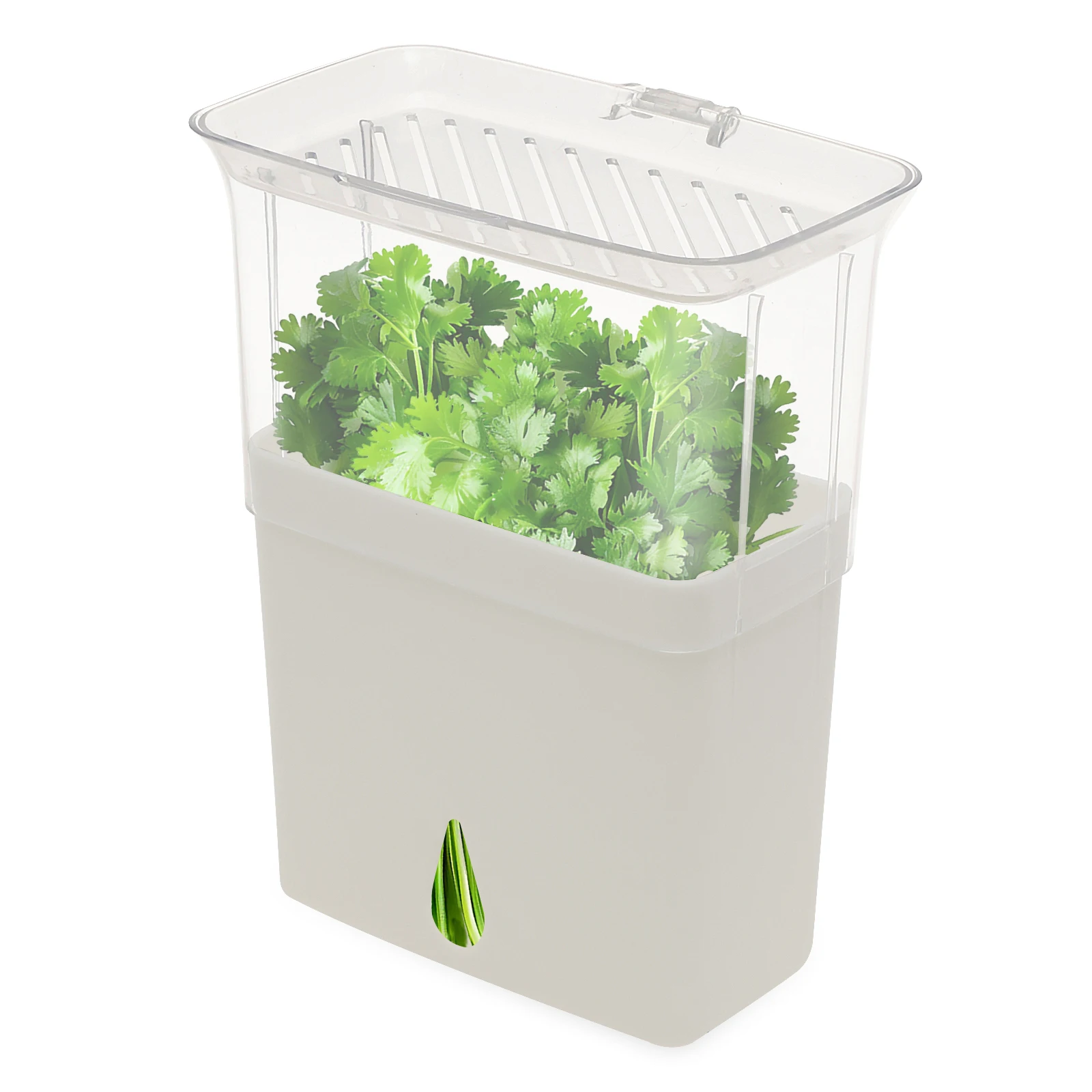 Şeffaf Bitki Saklama Kabı, Buz - Herb Keeper Bottle incelemesi ve fiyatı