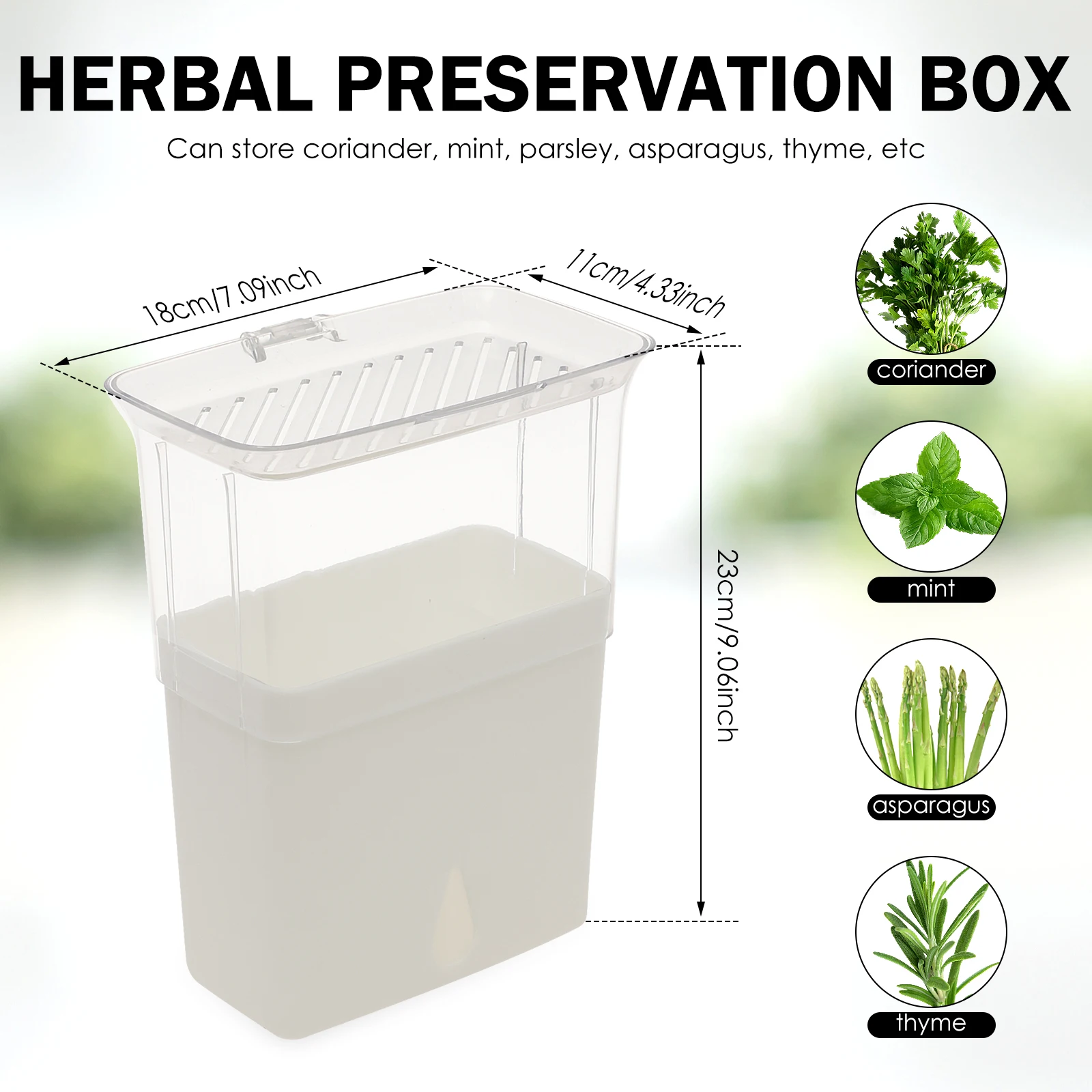 Şeffaf Bitki Saklama Kabı, Buz - Herb Keeper Bottle incelemesi ve fiyatı