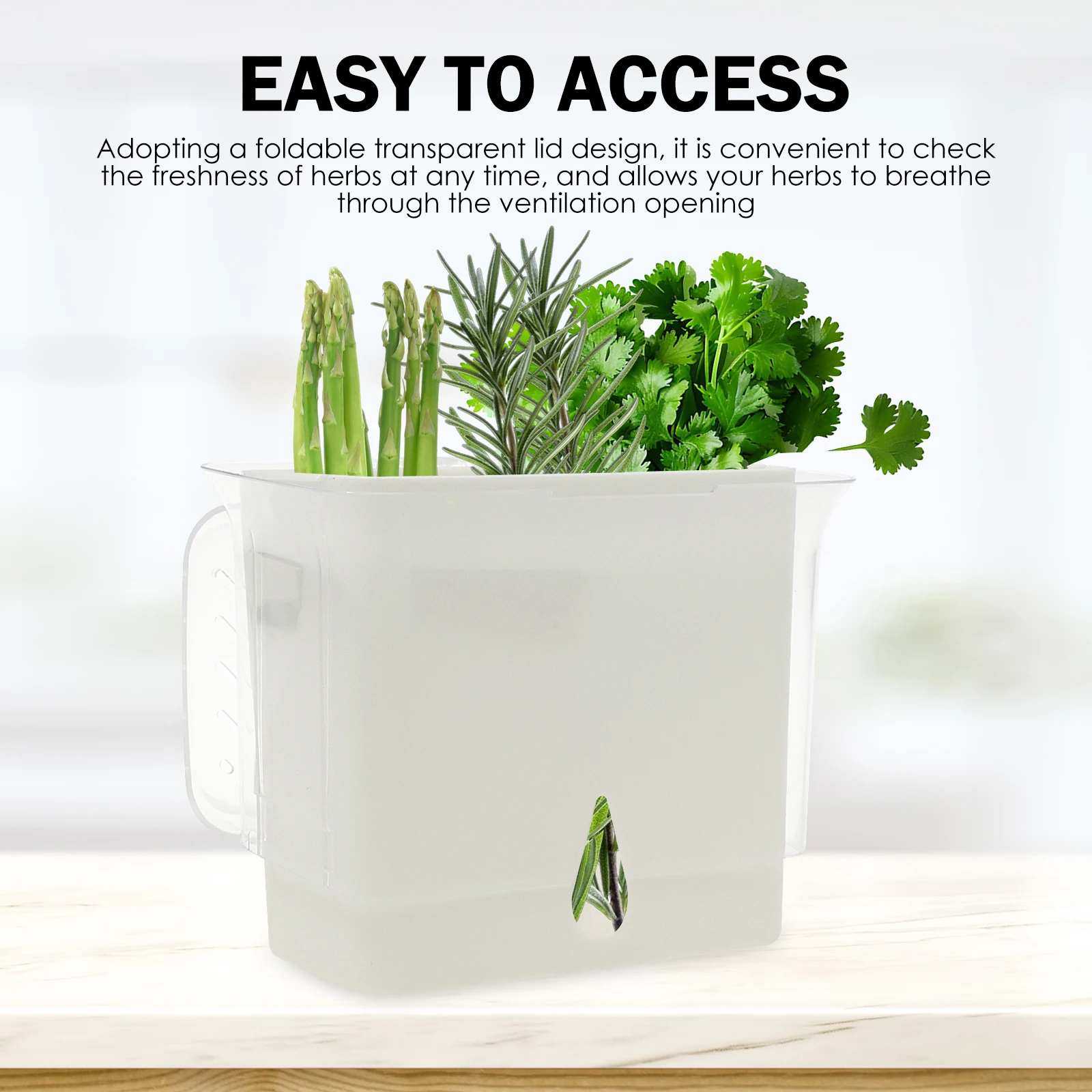 Şeffaf Bitki Saklama Kabı, Buz - Herb Keeper Bottle incelemesi ve fiyatı